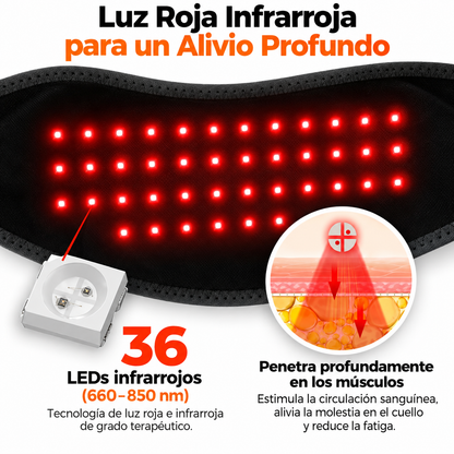 Fisioluz